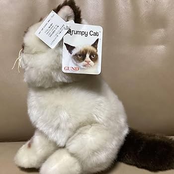 気難し屋の猫　Ultra Pro　Grumpy Cat 気難し屋の猫 Ultra Pro Grumpy Cat Amazon.com: Ultra Pro